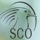 SCO : 